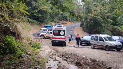 Sakarya’nın Sapanca ilçesinde, kestane toplamak için ormanlık alana giden 66