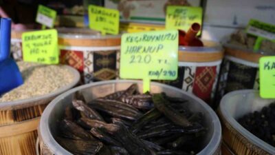 Kırşehir’de hava soğumaya başladığında, vatandaşlar kış hastalıklarından korunmak ve bağışıklık