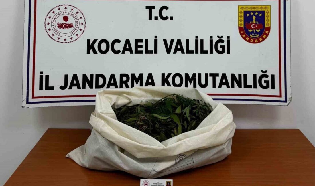 Kocaeli ilinin 4 farklı ilçesinde gerçekleştirilen operasyonlarda 3 kilo 356