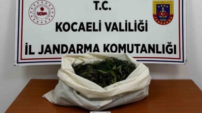 Kocaeli ilinin 4 farklı ilçesinde gerçekleştirilen operasyonlarda 3 kilo 356