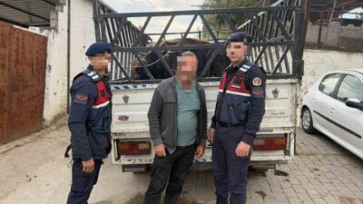 Aydın’ın Koçarlı ilçesinde çaldığı 4 büyükbaş hayvanı sattığı tespit edilen