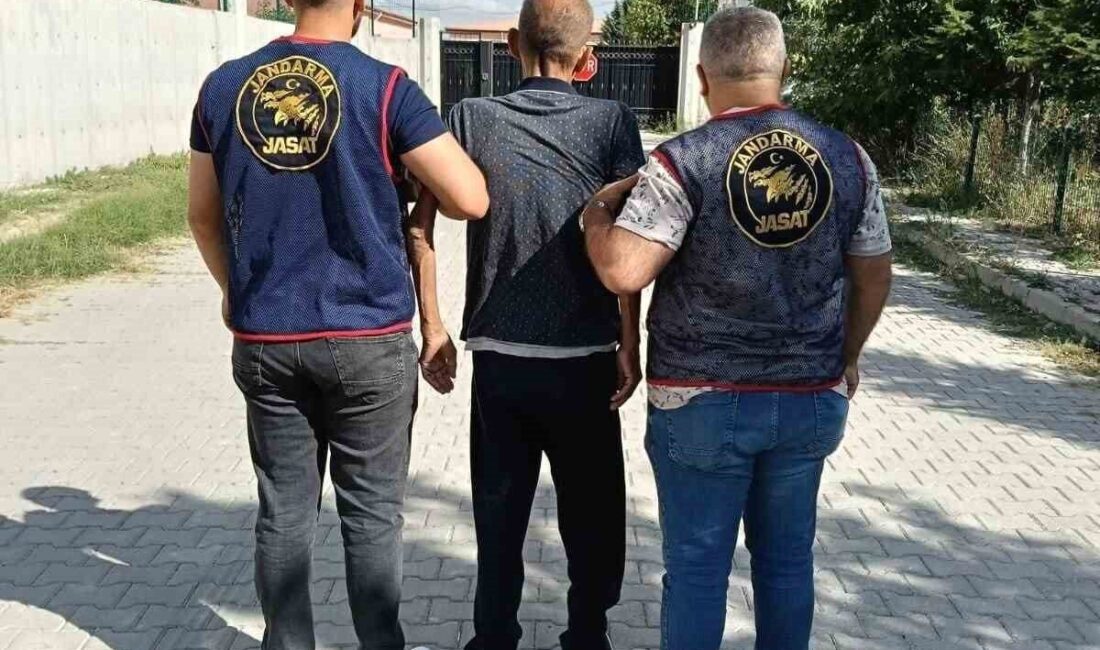 Konya’da, Jandarma ekipleri tarafından yapılan 15 günlük denetimlerde 698.037 kişi