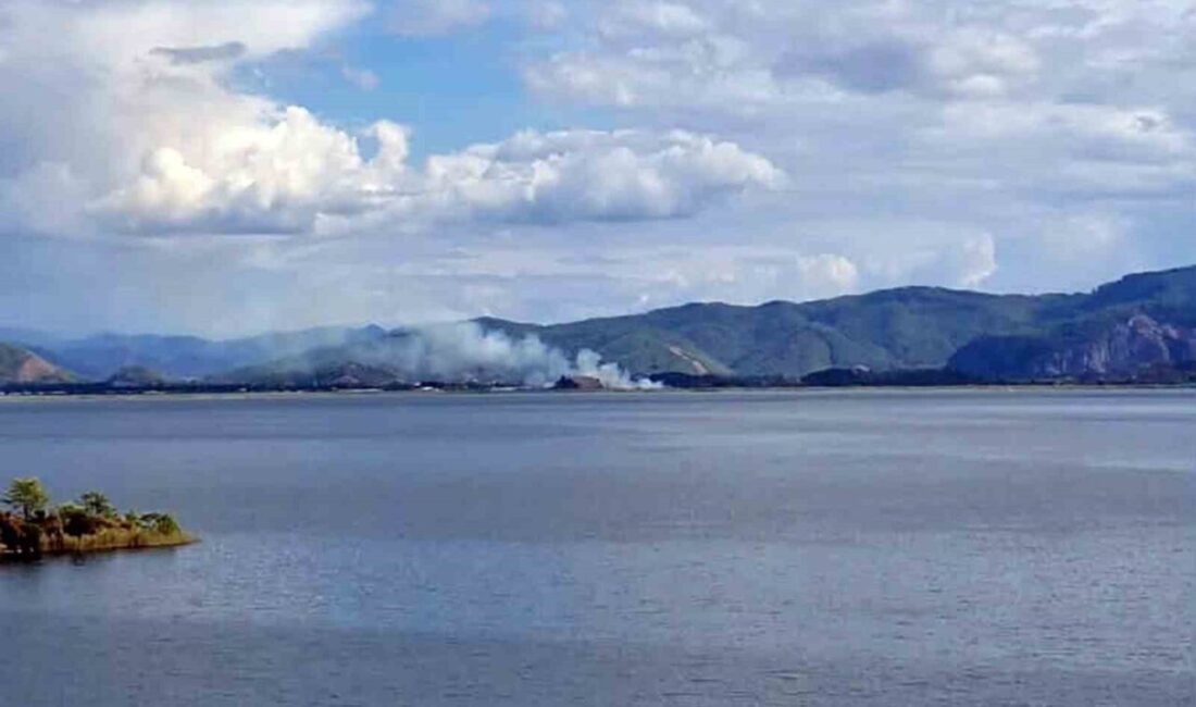Muğla’nın Köyceğiz ve Ortaca ilçeleri arasında bulunan sazlık alanda çıkan