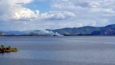 Muğla’nın Köyceğiz ve Ortaca ilçeleri arasında bulunan sazlık alanda çıkan