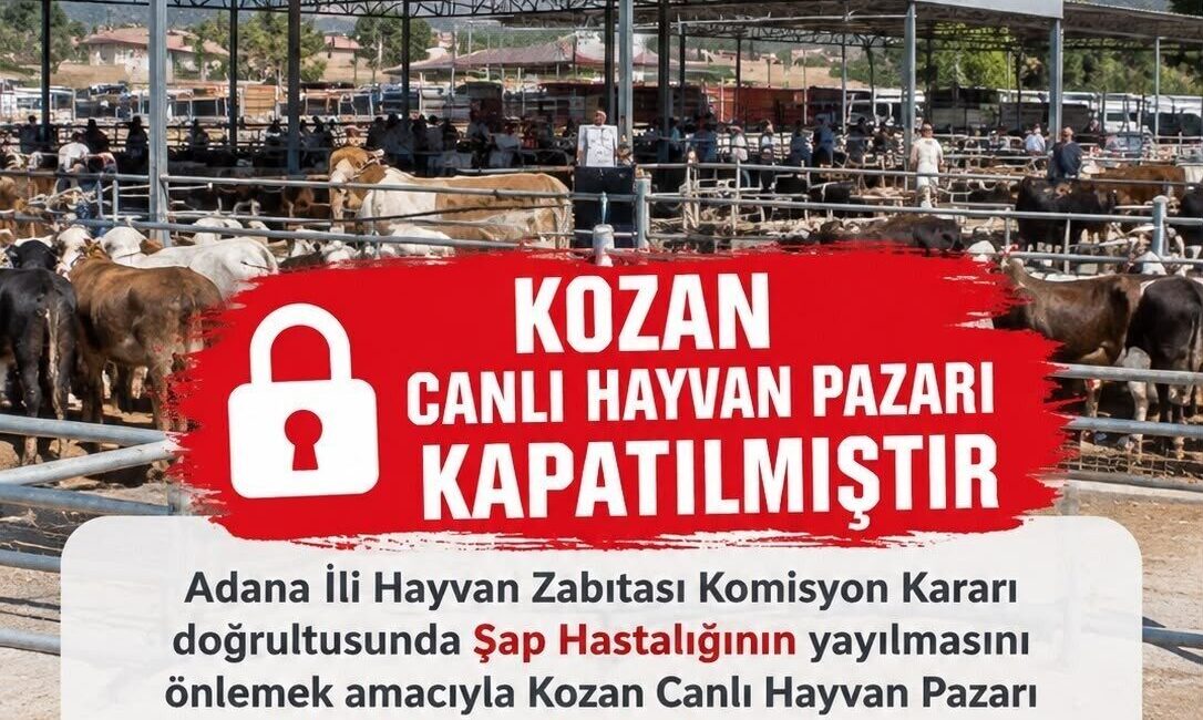 Adana’nın Kozan ilçesinde bulunan canlı hayvan pazarı, şap hastalığının yayılmasını