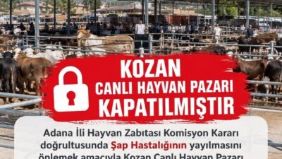 Adana’nın Kozan ilçesinde bulunan canlı hayvan pazarı, şap hastalığının yayılmasını