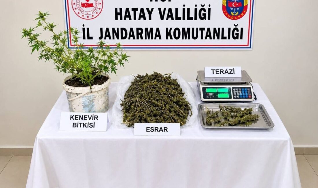 Hatay’ın Kumlu ilçesinde gerçekleştirilen operasyonda, jandarma ekipleri uyuşturucu madde imal