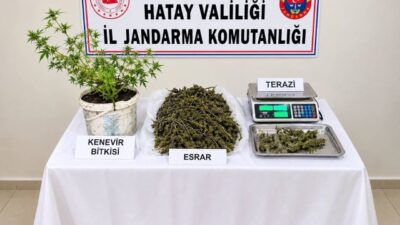 Hatay’ın Kumlu ilçesinde gerçekleştirilen operasyonda, jandarma ekipleri uyuşturucu madde imal