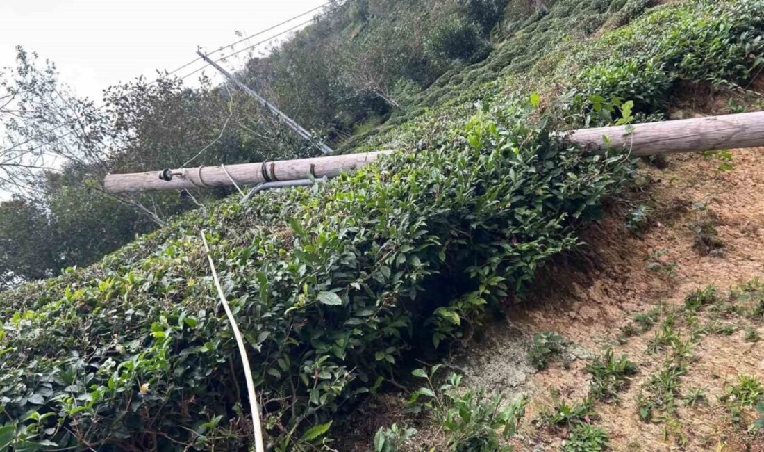 Artvin’in Hopa, Borçka ve Kemalpaşa ilçelerinde şiddetli rüzgârın yol açtığı