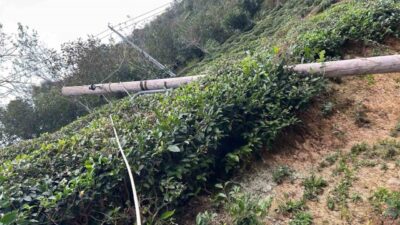 Artvin’in Hopa, Borçka ve Kemalpaşa ilçelerinde şiddetli rüzgârın yol açtığı