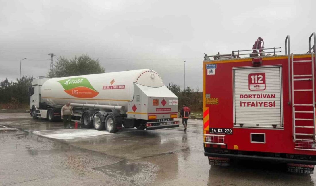 Bolu’da TEM Otoyolu üzerinde LPG yüklü bir tırın lastiklerinde çıkan