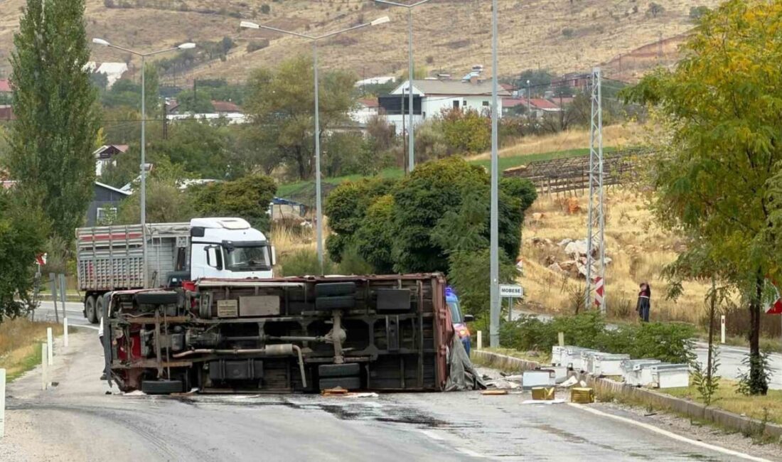 Malatya-Adıyaman kara yolunda meydana gelen bir kazada, arı taşıyan bir