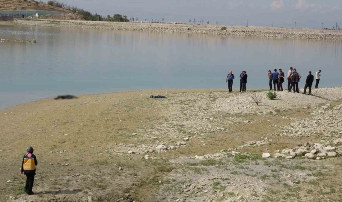 Malatya’nın Battalgazi ilçesindeki Pınarbaşı Göleti’nde bir erkek cesedi bulundu. Olay,