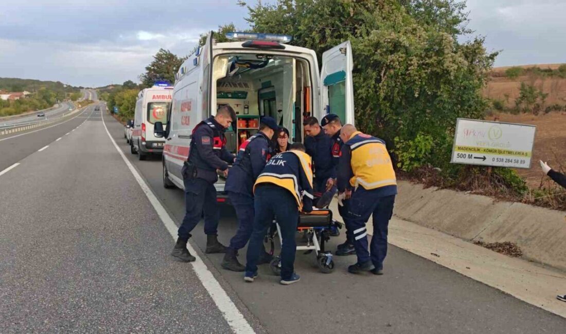 Malkara ilçesinde meydana gelen trafik kazasında balık dolu bir kamyona