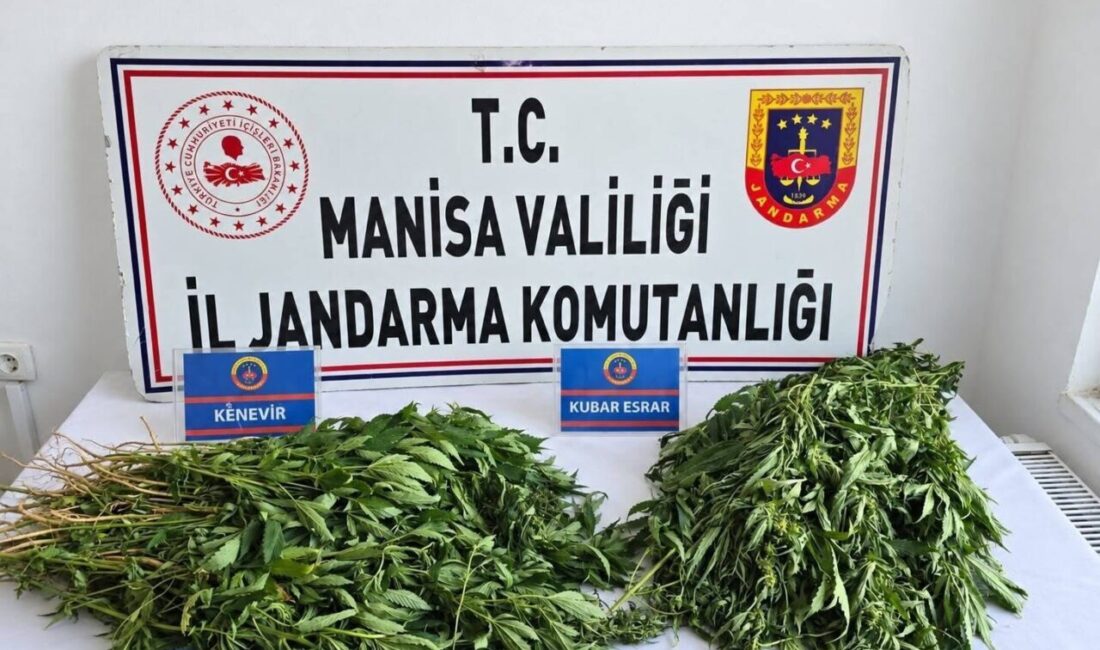 Manisa’da gerçekleştirilen uyuşturucu operasyonlarında 156 kök kenevir, 10.865 sentetik ecza