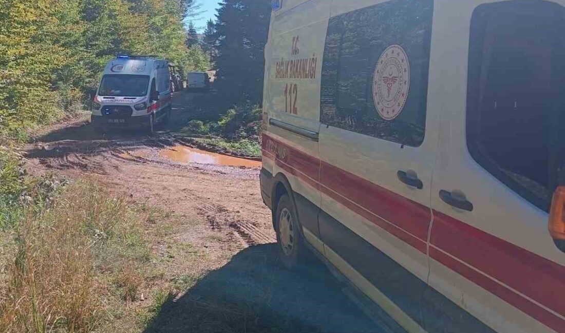 Pamukova ilçesine bağlı Eskiyayla Mahallesi Soğucak Yaylası yolunda meydana gelen
