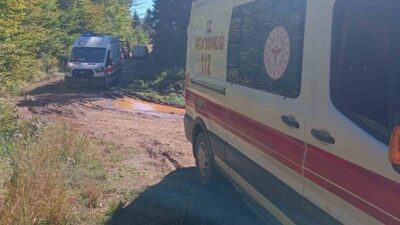 Pamukova ilçesine bağlı Eskiyayla Mahallesi Soğucak Yaylası yolunda meydana gelen