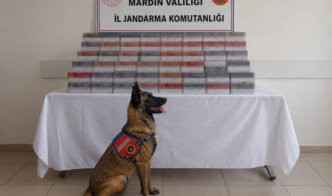 Mardin’de gerçekleştirilen operasyonlarda jandarma ekipleri tarafından kaçak tütün ve sigara