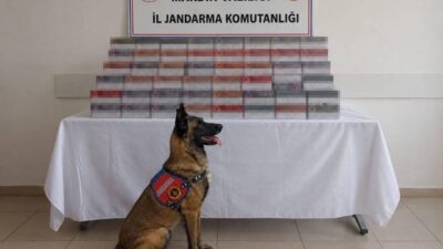 Mardin’de gerçekleştirilen operasyonlarda jandarma ekipleri tarafından kaçak tütün ve sigara