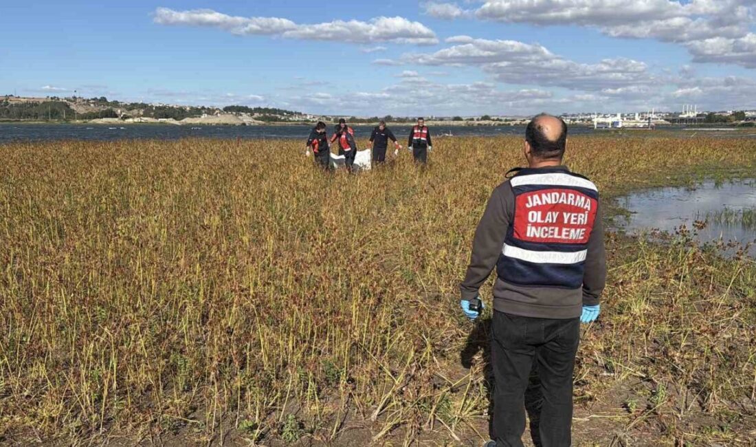 Edirne’de Meriç Nehri’nde bir erkek cesedi bulundu ve ekipler tarafından