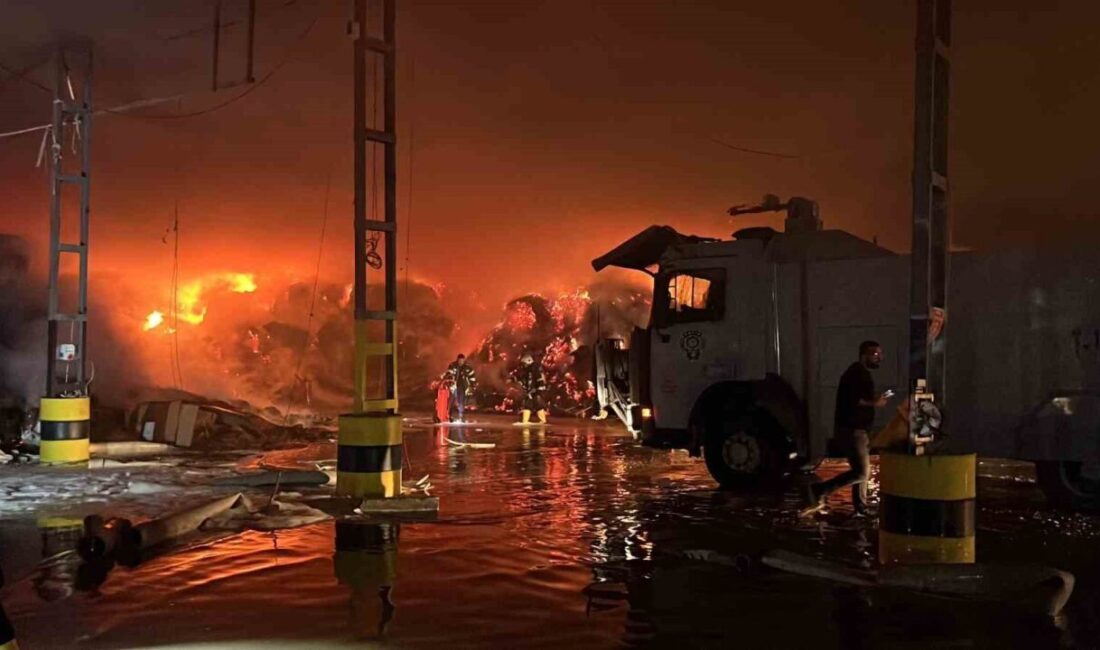 Mersin’de bir tütün deposunda çıkan yangın, büyük çapta maddi hasara