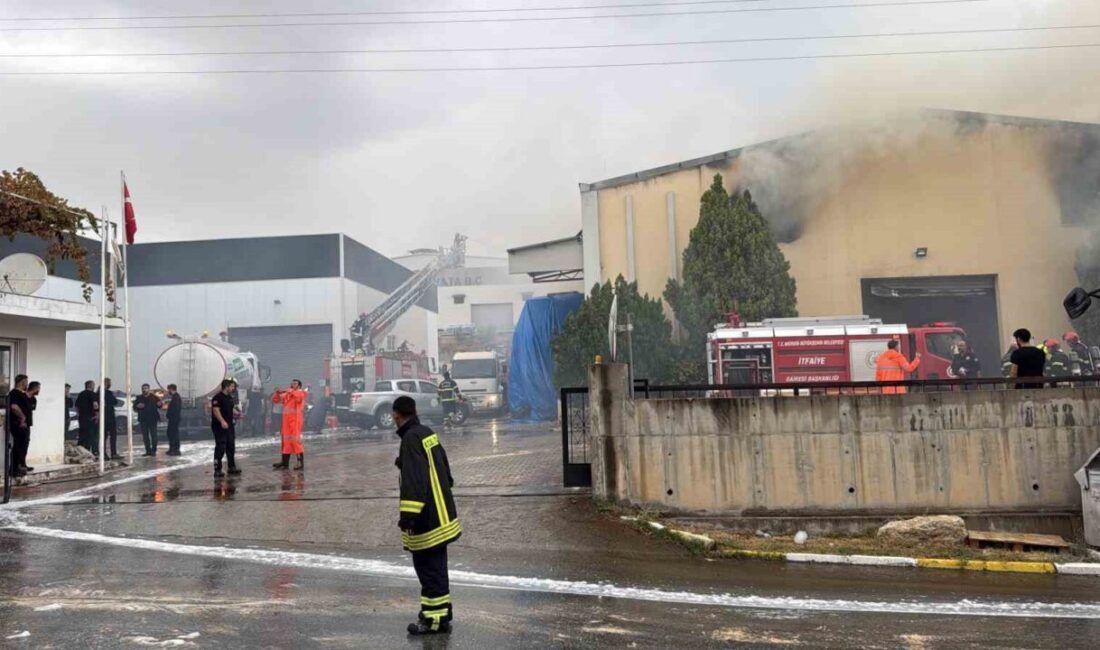 Mersin’de bulunan bir tütün ve makaron üretim fabrikasının 3 deposunda