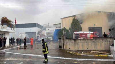 Mersin’de bulunan bir tütün ve makaron üretim fabrikasının 3 deposunda