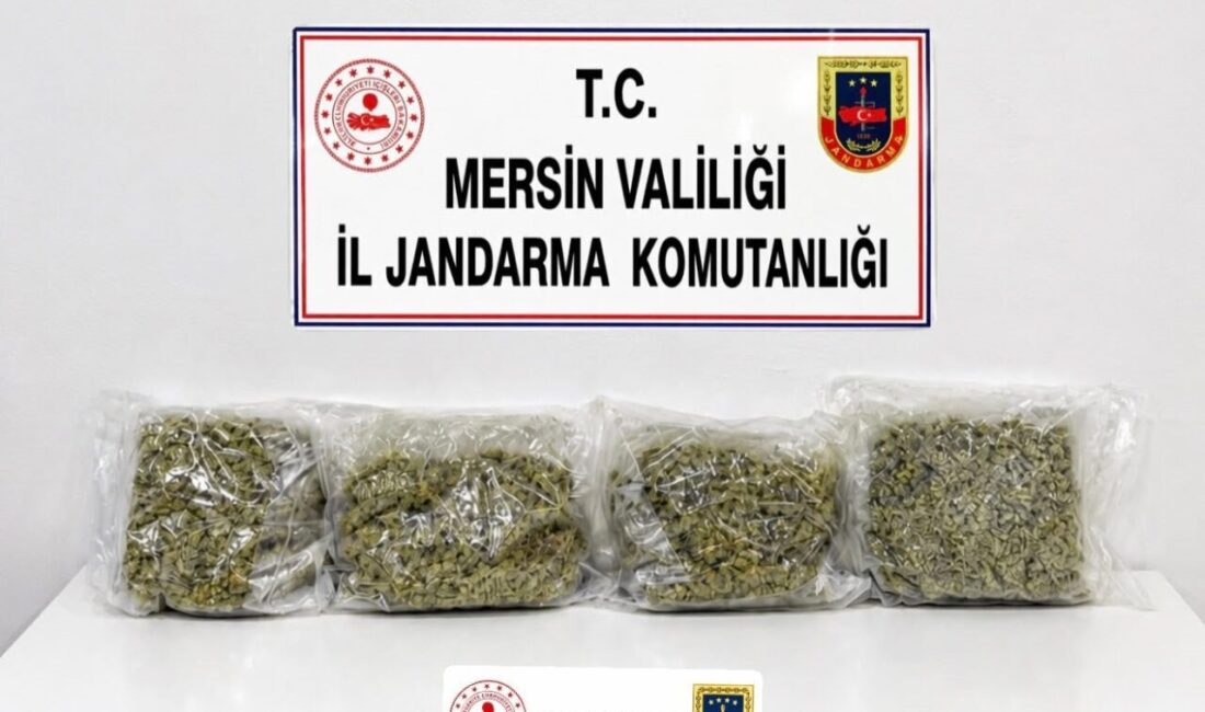 Mersin’in Mezitli ilçesinde jandarma ekiplerince uyuşturucu madde ticareti yapan sokak