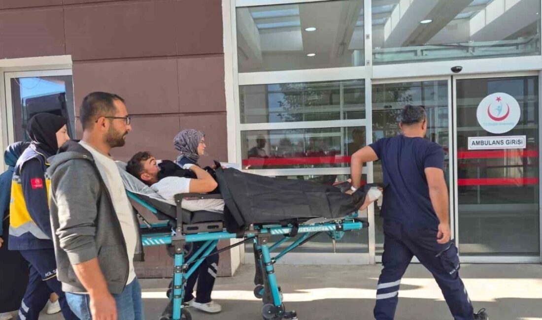 Adıyaman’ın Besni ilçesinde meydana gelen trafik kazasında, bir kişi yaralandı.