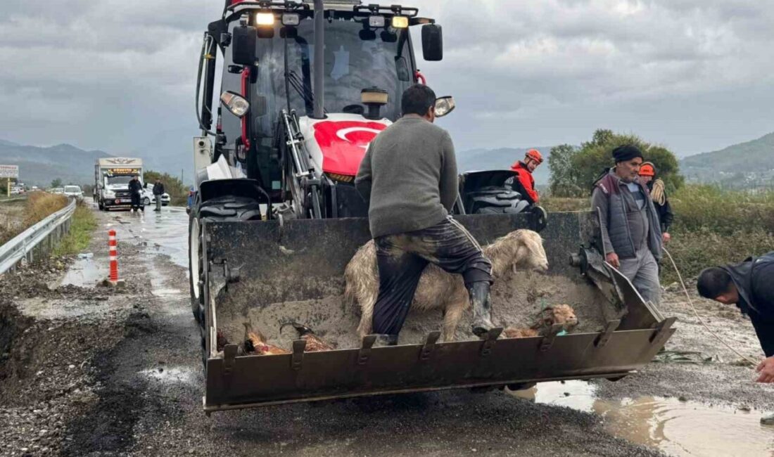 Muğla’nın Dalaman ilçesinde etkili olan yağışlar sele döndü. Tersakan Çayı’nın