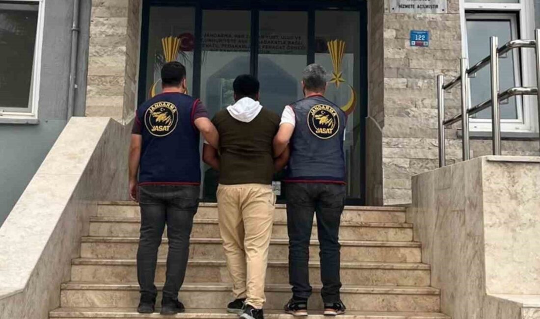 Muğla’da jandarma ekiplerinin 5-11 Ekim tarihleri arasında yaptığı denetimler sonucunda