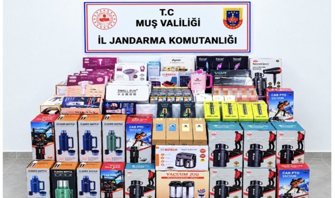 Muş’ta jandarma ekiplerince düzenlenen operasyonda, piyasa değeri yaklaşık 700 bin