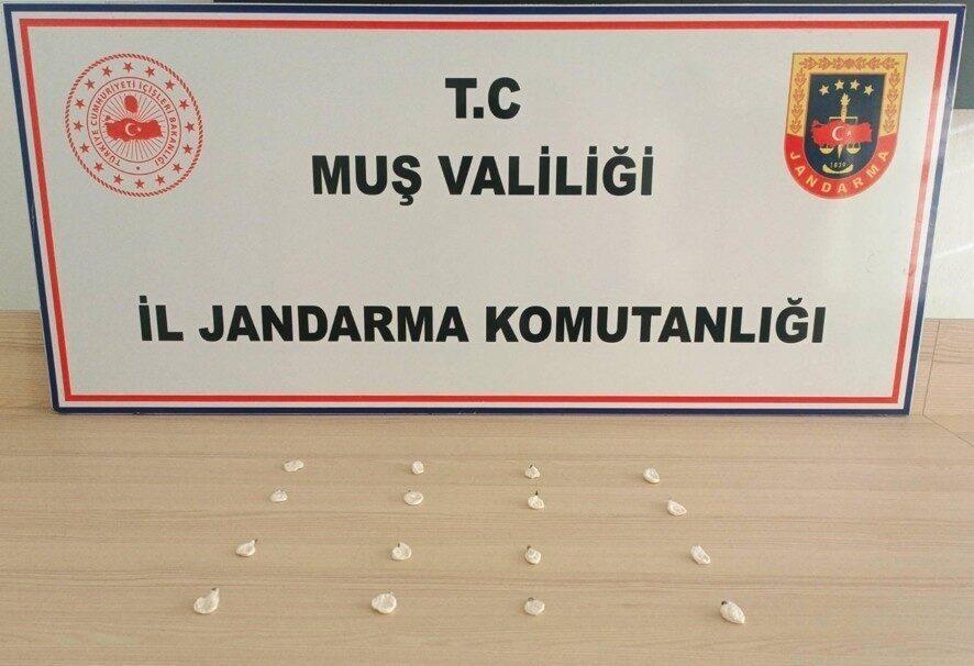 Muş İl Jandarma Komutanlığı ekipleri, Eylül ayında gerçekleştirdikleri narkotik operasyonlarında
