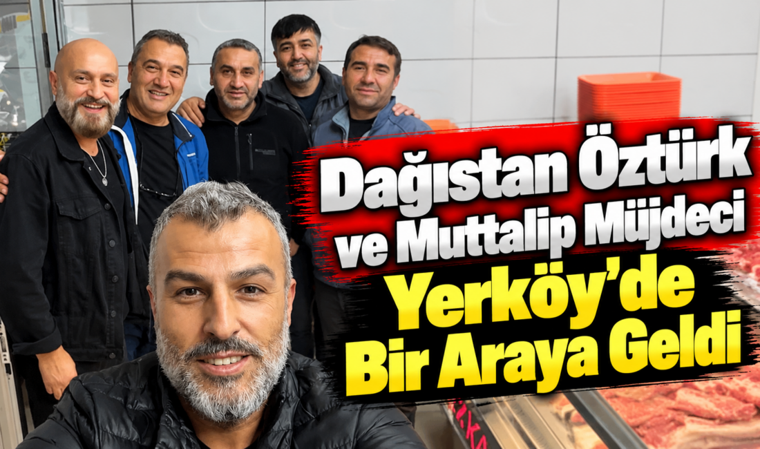 Birçok başarılı televizyon dizisi ve sinema filminde rol alan Yerköylü