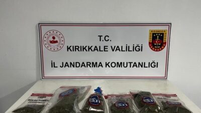 Kırıkkale ilinde Jandarma ekipleri tarafından gerçekleştirilen operasyonda, uyuşturucu arama köpeğinin