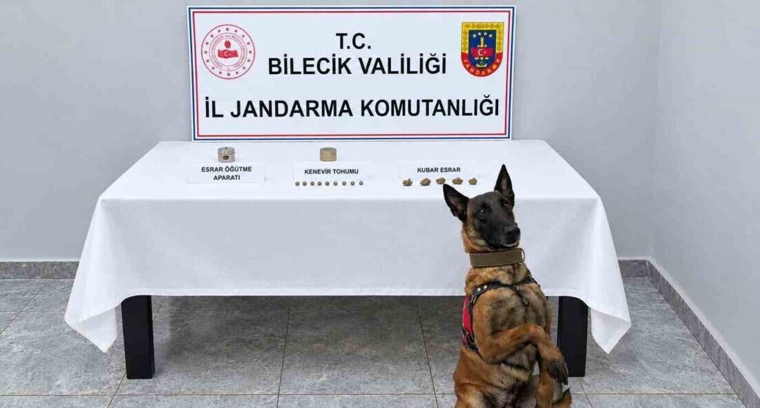 Bilecik’te, narkotik köpeğin katıldığı bir eve yapılan operasyonda uyuşturucu bulundu.