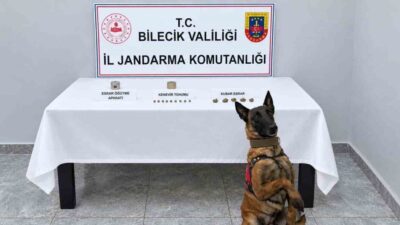 Bilecik’te, narkotik köpeğin katıldığı bir eve yapılan operasyonda uyuşturucu bulundu.