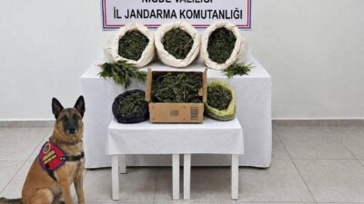 Niğde’de, İl Jandarma Komutanlığı ekipleri tarafından gerçekleştirilen operasyonda 10 kilo