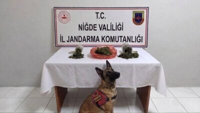 Niğde’de, 28 Eylül-4 Ekim 2026 tarihleri arasında yürütülen operasyonlarda İl