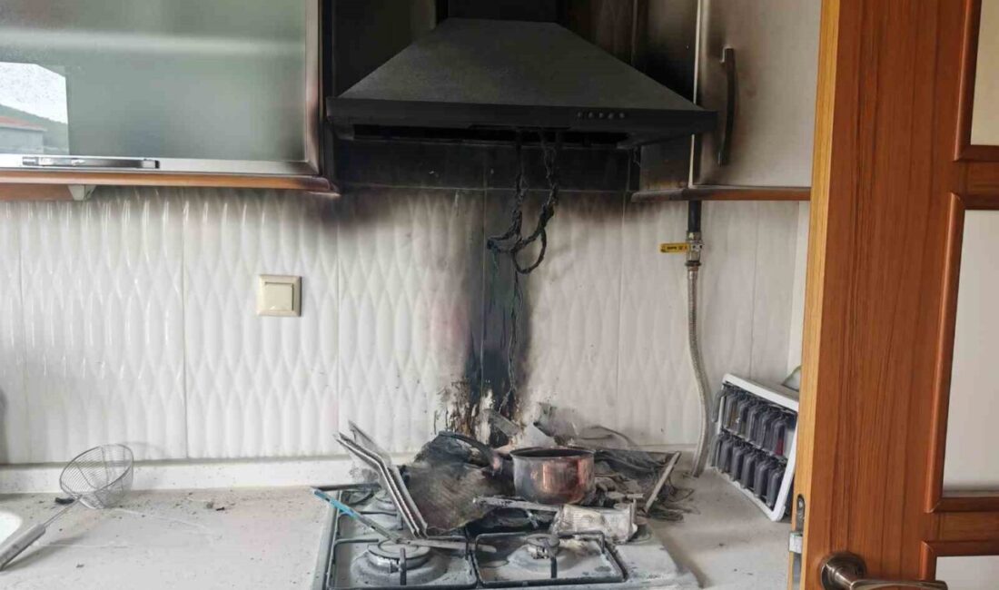 Menteşe Kötekli Mahallesi TOKİ konutlarında 4. katta bulunan dairede çıkan