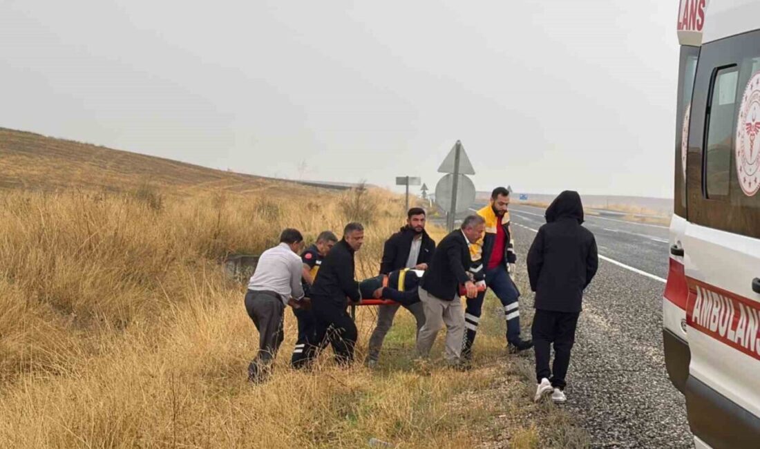 Diyarbakır’da seyir halinde olan bir pikabın lastiği patladı ve araç