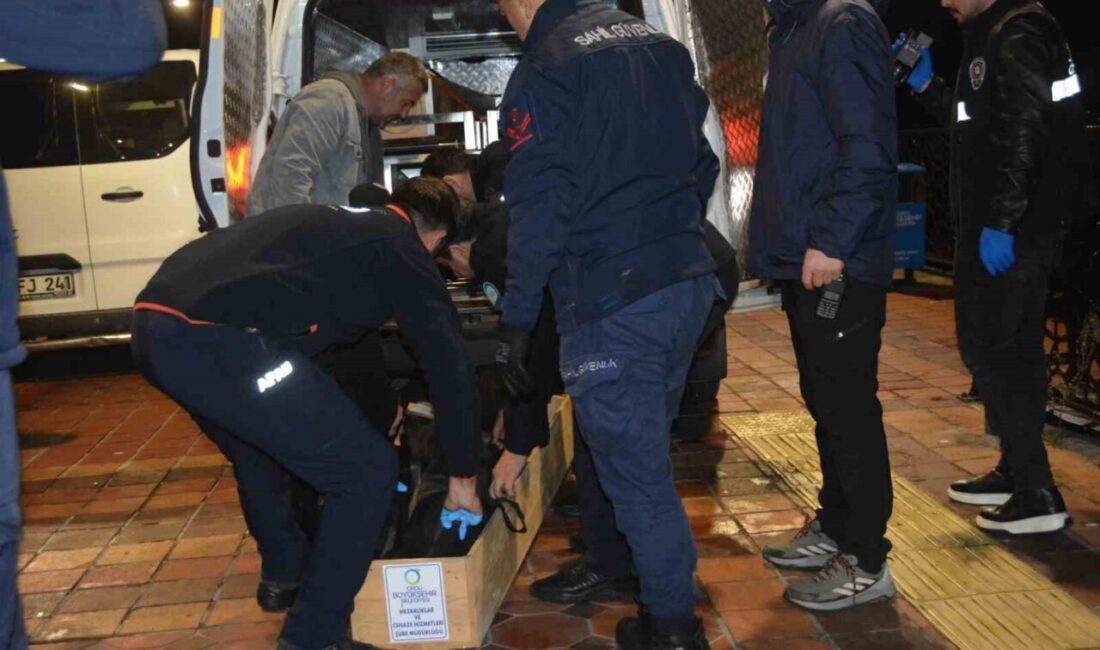 Ordu’nun Ünye ilçesinde gece saatlerinde iskeleden denize atlayan 18 yaşındaki