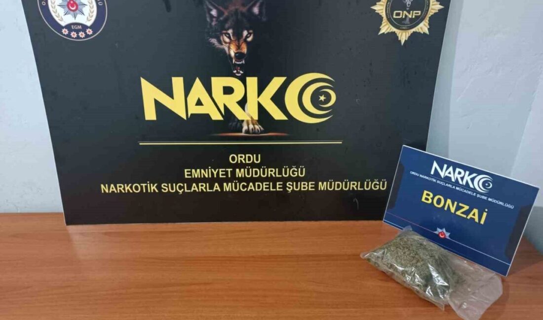 Fatsa ilçesinde düzenlenen bir uyuşturucu operasyonunda yakalanan şüpheli tutuklandı. Olayla