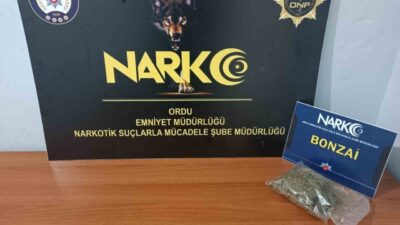 Fatsa ilçesinde düzenlenen bir uyuşturucu operasyonunda yakalanan şüpheli tutuklandı. Olayla