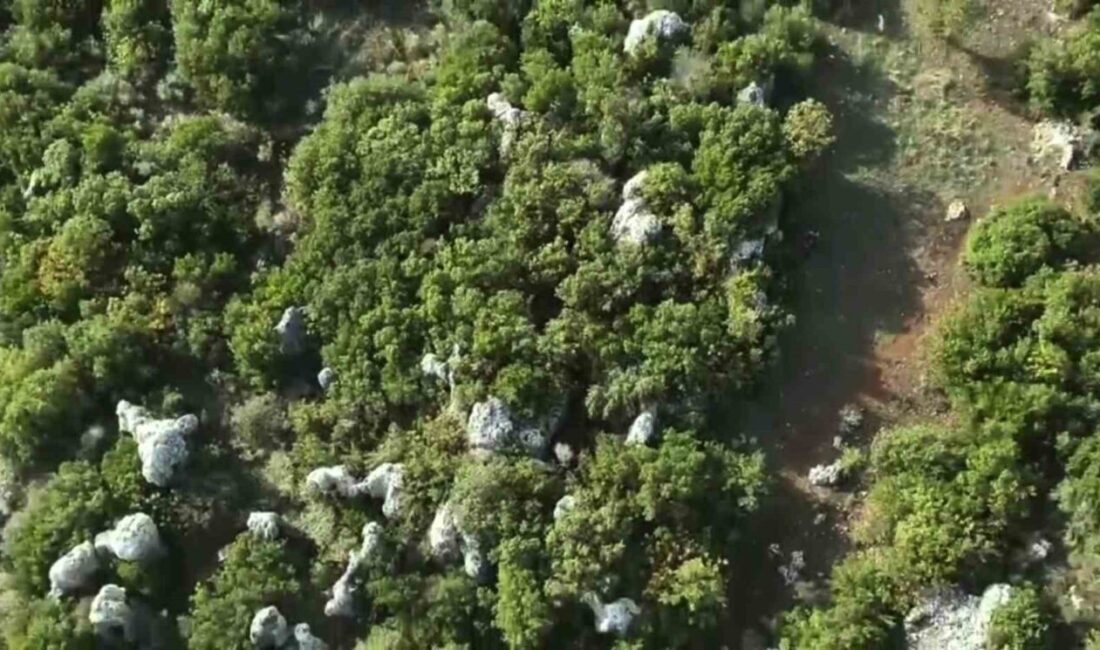 Hatay’da jandarma ekiplerinin düzenlediği operasyon sonucunda, ormanlık alandaki hazine arazisine