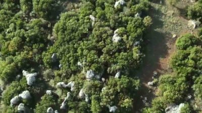 Hatay’da jandarma ekiplerinin düzenlediği operasyon sonucunda, ormanlık alandaki hazine arazisine