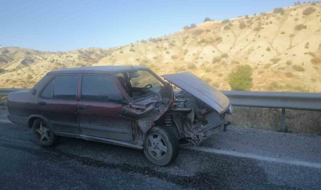 Besni ilçesinde meydana gelen trafik kazasında bir kişi yaralandı. Sürücü
