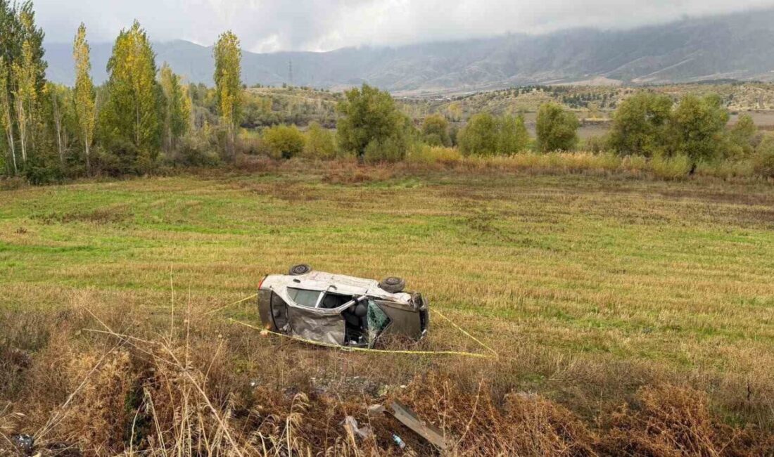 Malatya’nın Doğanşehir ilçesinde kontrolden çıkan otomobilin şarampole devrilmesi sonucu meydana