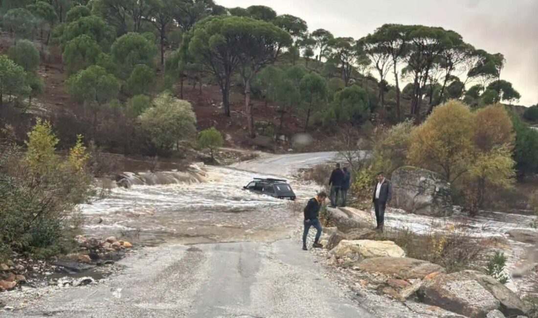 Aydın’ın Koçarlı ilçesinde, sağanak yağışla birlikte Sarıçay Deresi’nin taşması sonucu