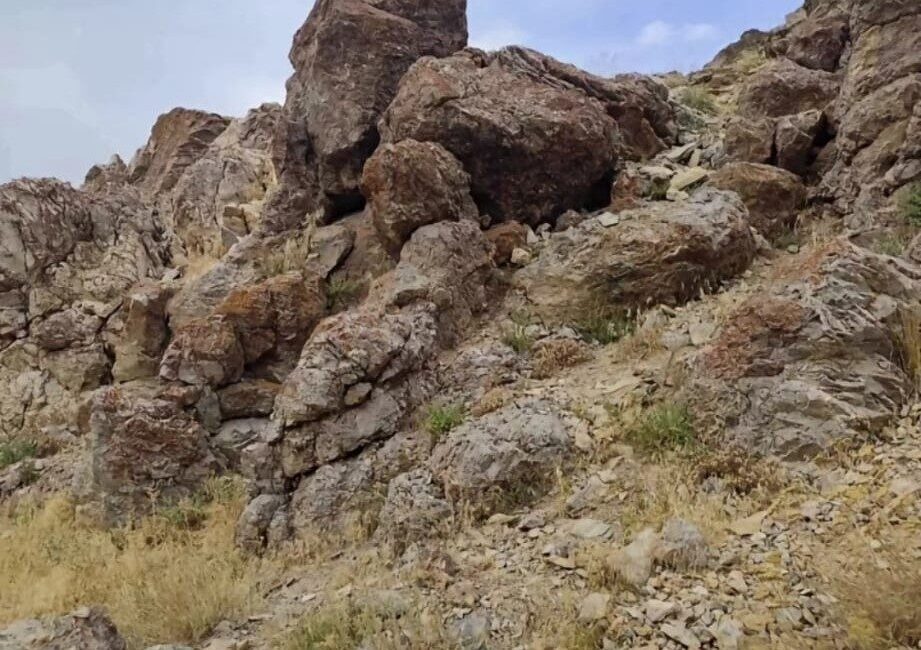 Van’ın Özalp ilçesinde, dün akşam saatlerinde Gözdeğmez Mahallesi’nde kırsal bölgede